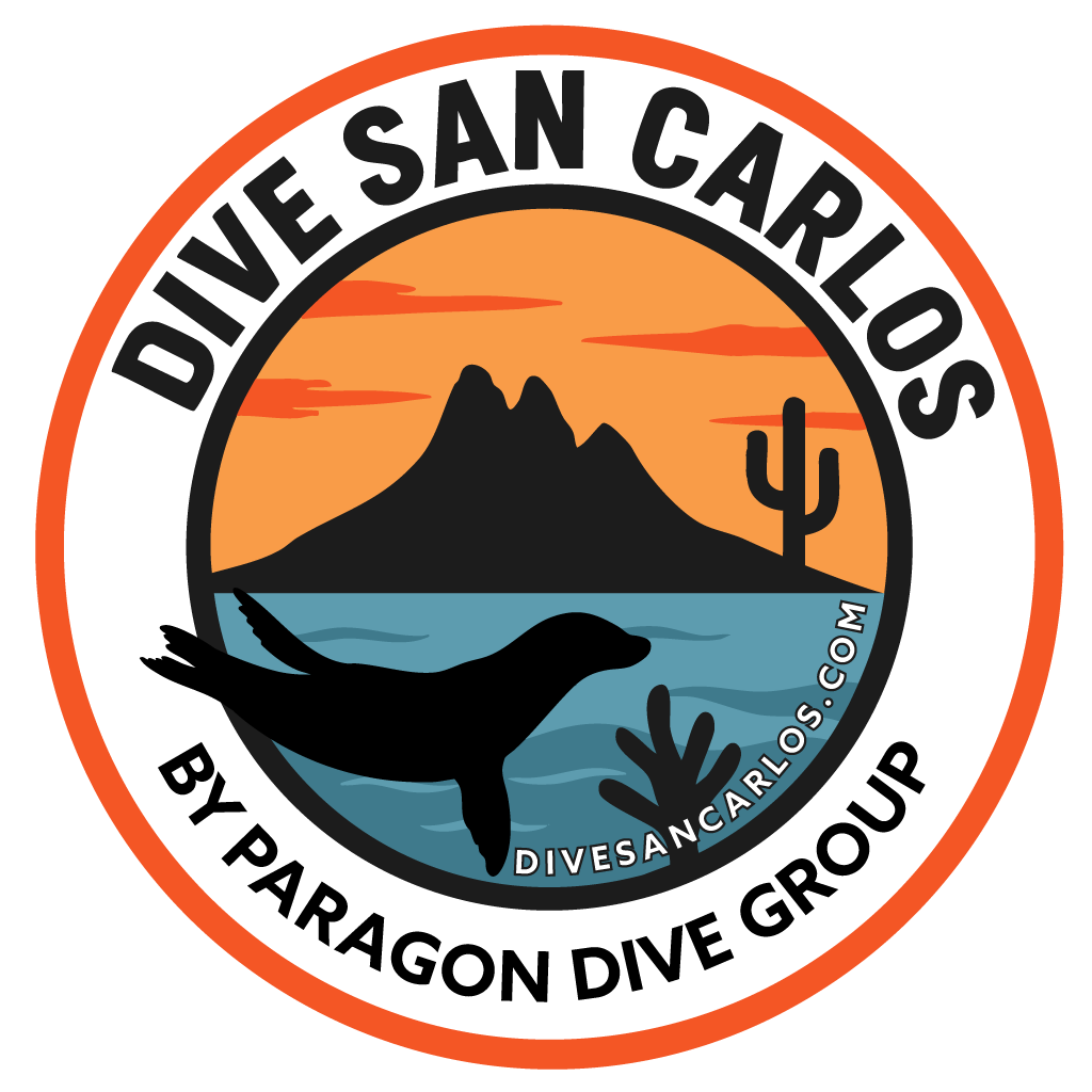Dive San Carlos Trips